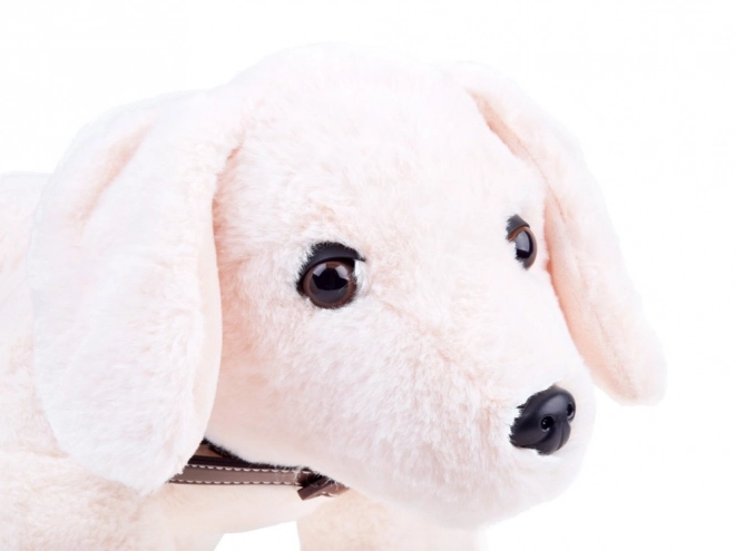 Chiot en peluche