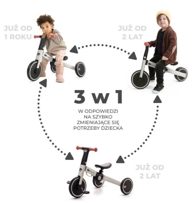 Tricycle 4TRIKE ARGENT GRIS