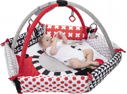 Soutient le développement visuel et moteur