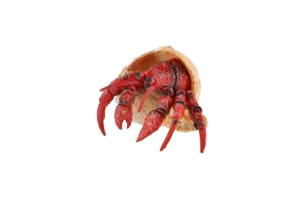 Crabe ermite en plastique zooted 7cm en sachet