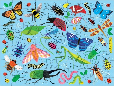 Illustrations éducatives riches en détails