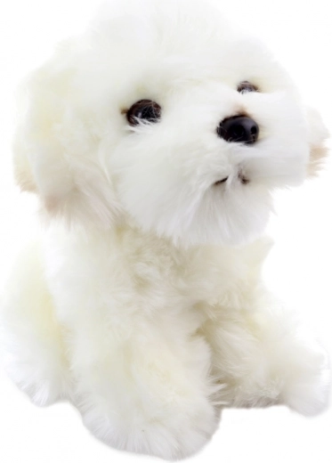 Détails réalistes d’un adorable chiot