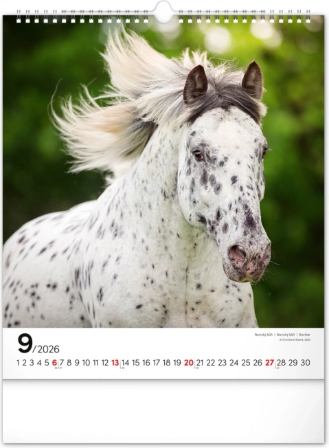 Calendrier mural Chevaux 2026