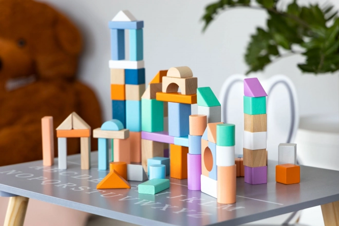 Blocs en bois 100 pcs dans un seau avec trieur Ecotoys