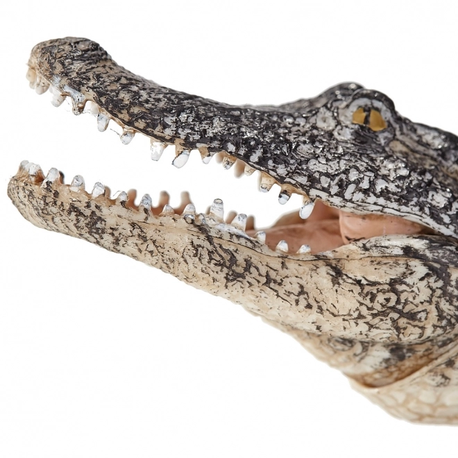 Mojo Animal Planet Alligator