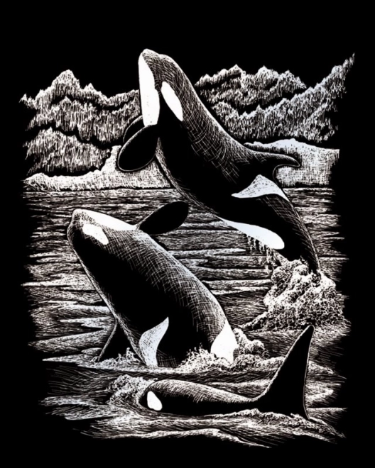 ROYAL & LANGNICKEL Illustrations à gratter en bloc Animaux sauvages