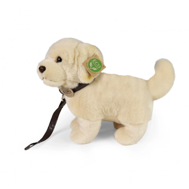 Chien en peluche Golden Retriever avec laisse 25 cm