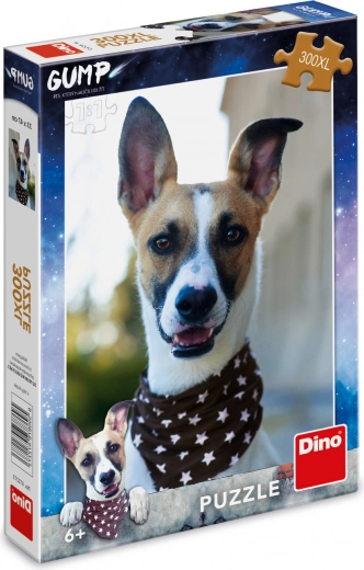 Convient à tous les âges