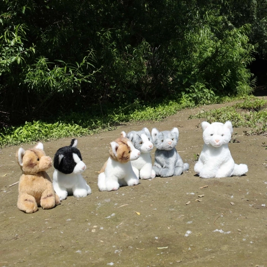 Six superbes variantes pour chacun