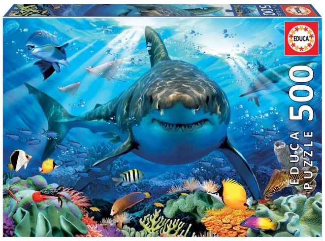 Puzzle Requin Blanc 500 Pièces