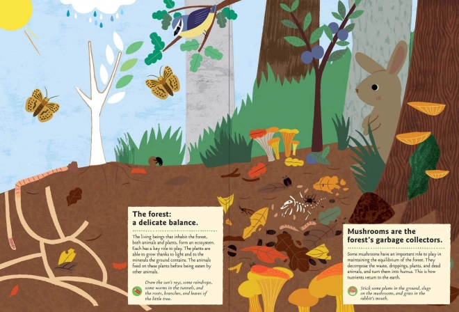 Chronicle Books Livre d'activités avec autocollants Ma nature Dans la forêt