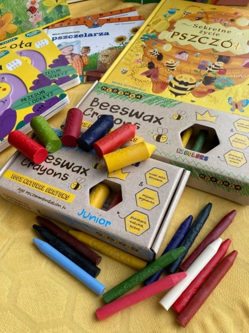 Crayons de cire Medenka - 12 pièces