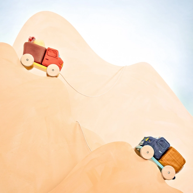 Camion à tirer pour enfants avec l'âne Ignác