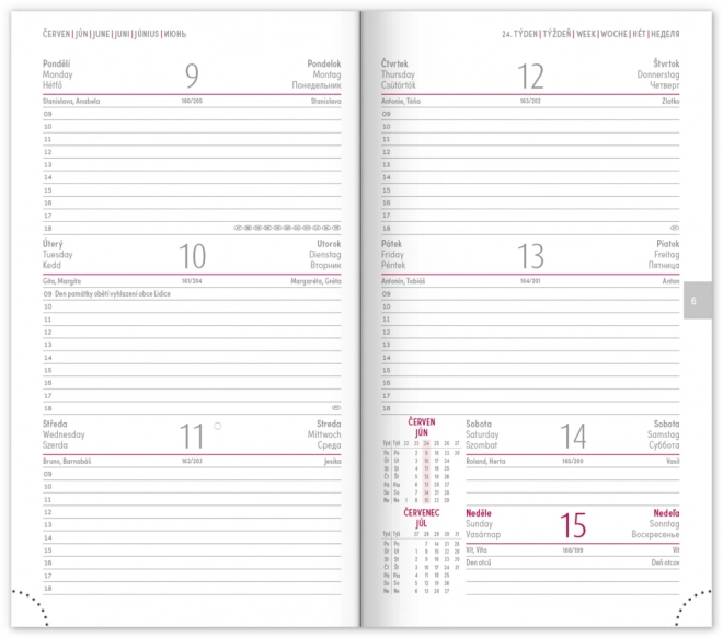 Agenda de poche Tomy 2025 bleu-rouge