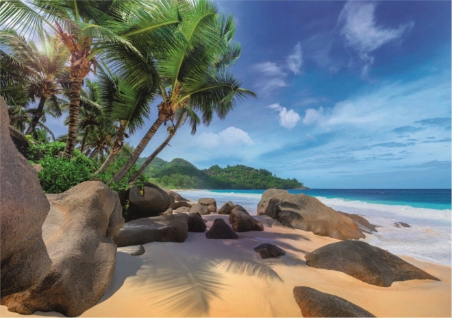 Superbe motif de plage exotique