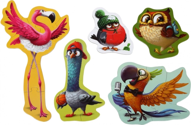 5 images d’adorables oiseaux dans un seul coffret