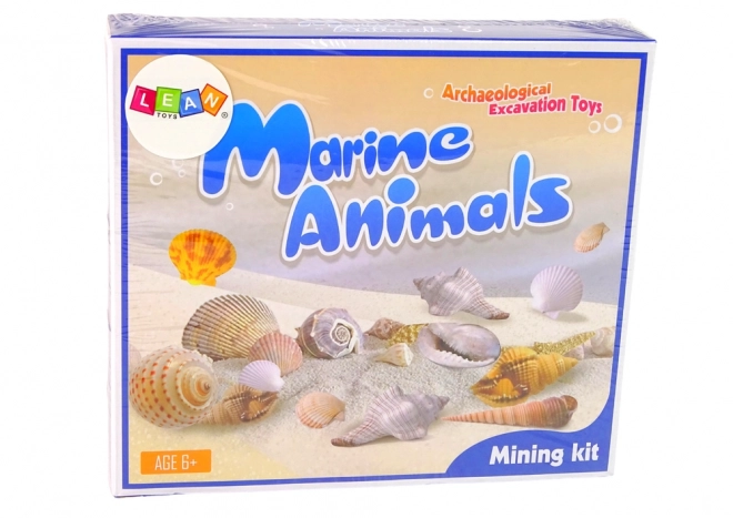 Ensemble de fouilles : Découverte d'animaux marins