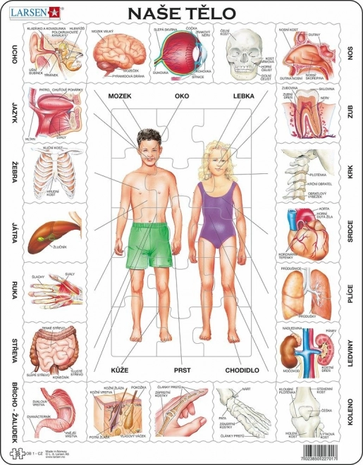 Larsen puzzle éducatif notre corps 35 pièces