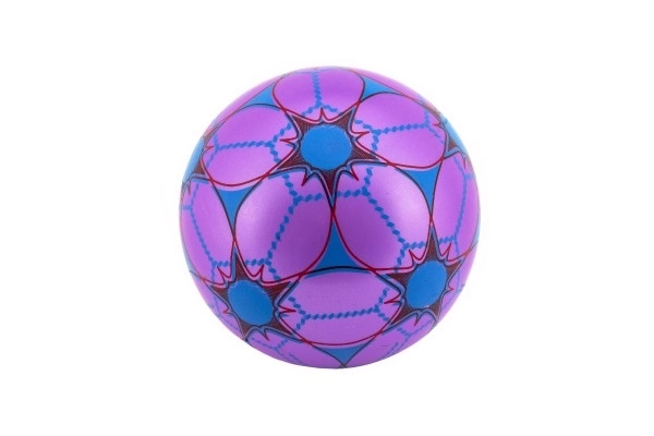 Balle en caoutchouc colorée non gonflée dans un filet - 23 cm