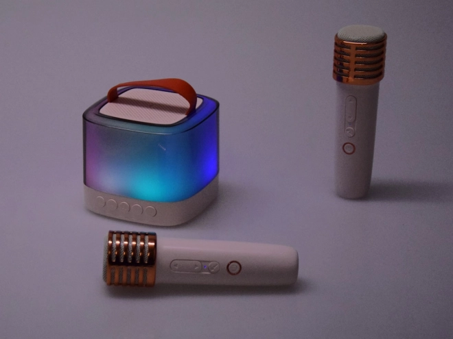 Microphone avec haut-parleur sans fil et Bluetooth