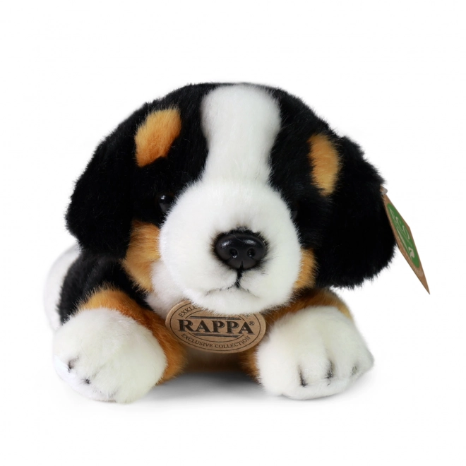 Chien de montagne bernois en peluche allongé 20 cm ÉCOLOGIQUE