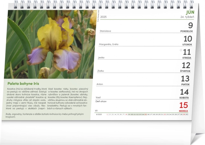 NOTIQUE Calendrier de Table Jardinier 2025, 23,1 x 14,5 cm