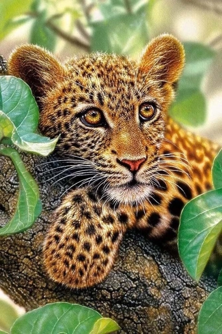 Kit de peinture au diamant - léopard