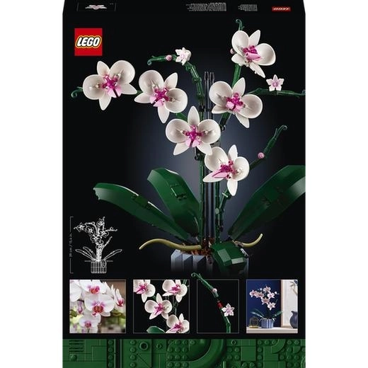 LEGO Icons 10311 Orchidée