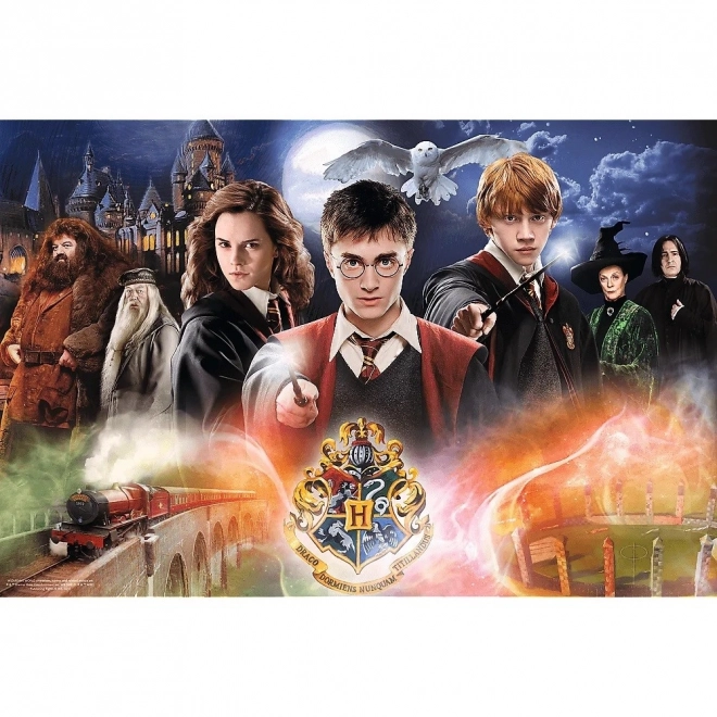 Puzzle Mystère Harry Potter 300 pièces