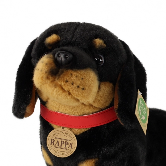 Rappa Chien en peluche teckel 30 cm ECO-FRIENDLY