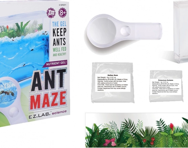 Ferme de fourmis avec gel nutritif