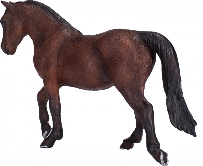 Cheval Morgan Palomino