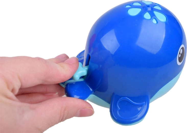 Adorable baleine avec jets d’eau