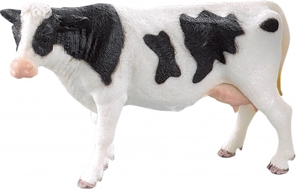 Détails fidèles de la vache