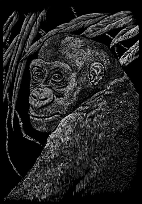 ROYAL & LANGNICKEL Illustrations à gratter en bloc Animaux sauvages