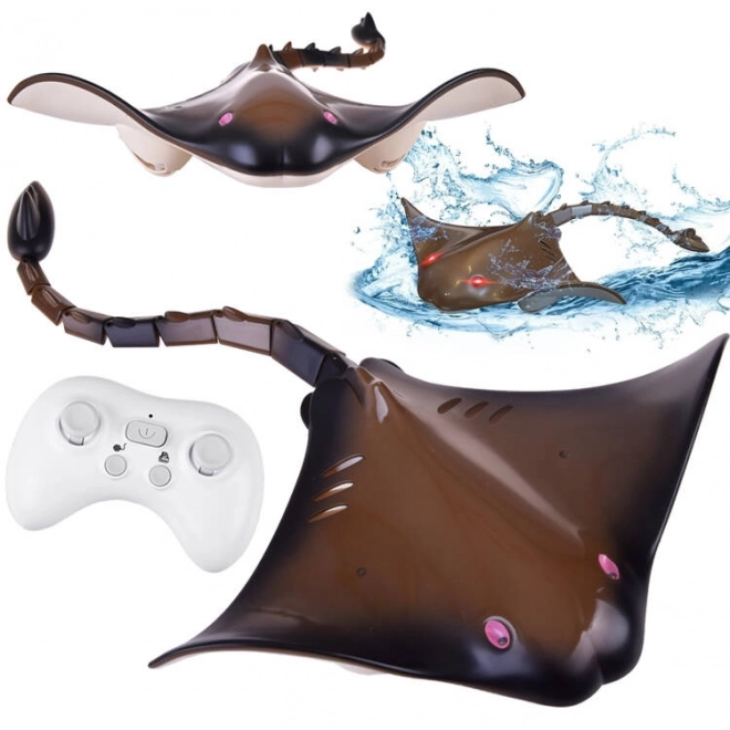Amusante Planche Aquatique RC
