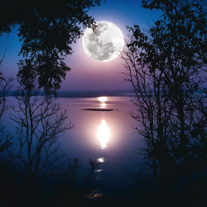 Calendrier de notes Lune 2026