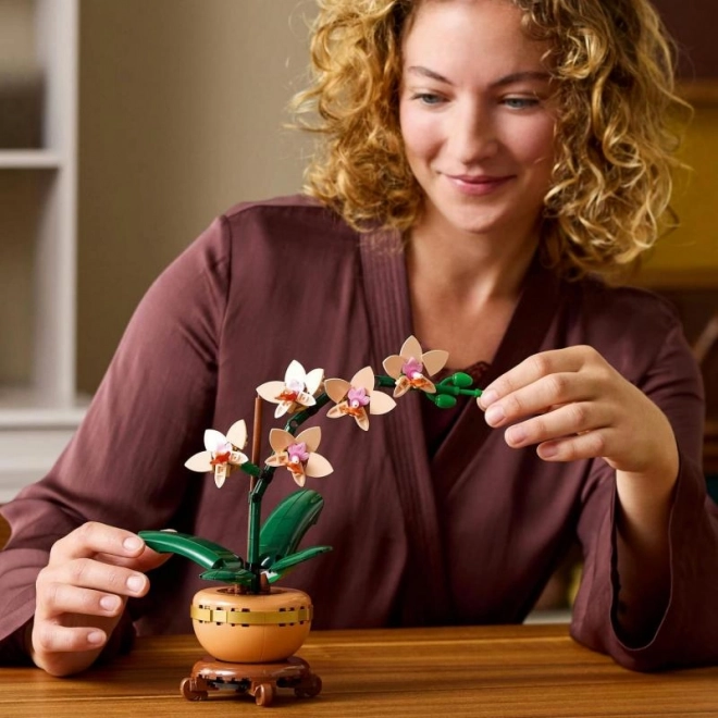Lego Botanicals Petite Orchidée