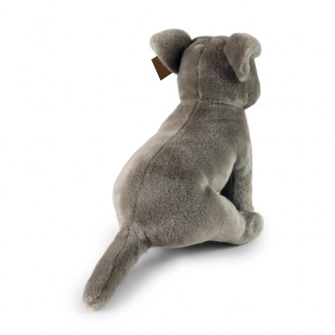 Staffordshire bull terrier en peluche 30cm ÉCOLOGIQUE