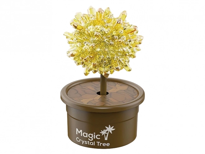 Arbre magique Culture des cristaux Expériences dorées