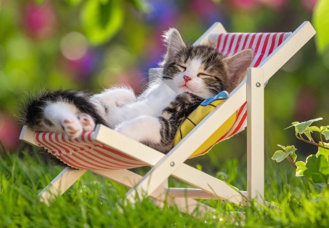 Puzzle 2x24 Chatons