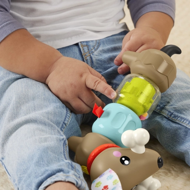 Fisher Price Teckel à cliquetis et cliquetis HTW91