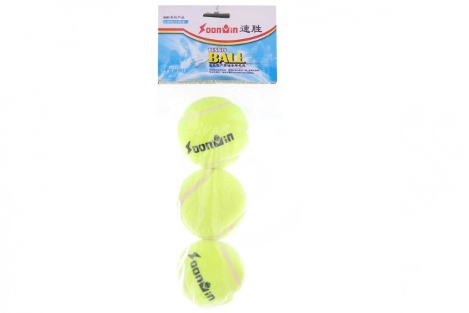 Ballons de tennis 3pcs