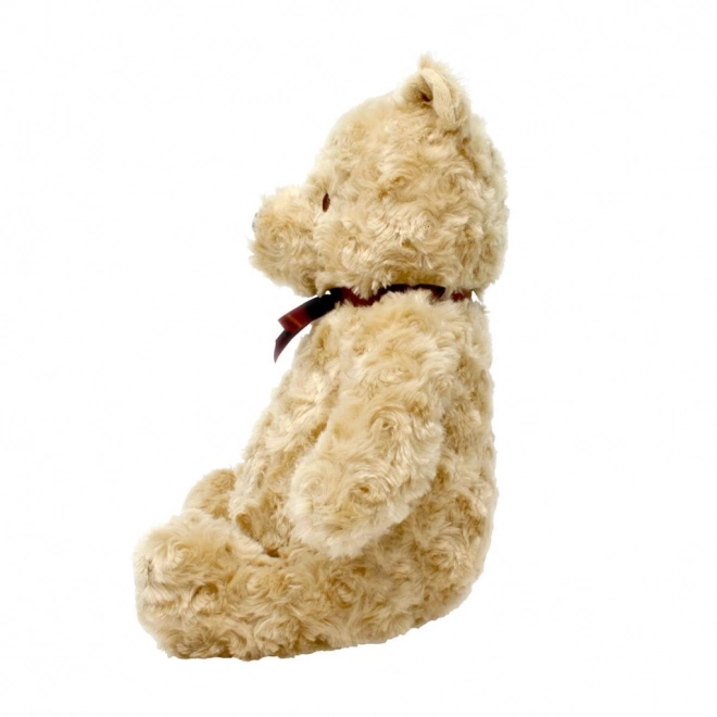 Nounours Peluche Rainbow Winnie l'Ourson de la Forêt des Cent Acres