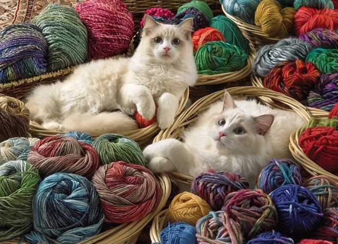 Puzzle Chat Ragdoll 1000 pièces Cobble Hill