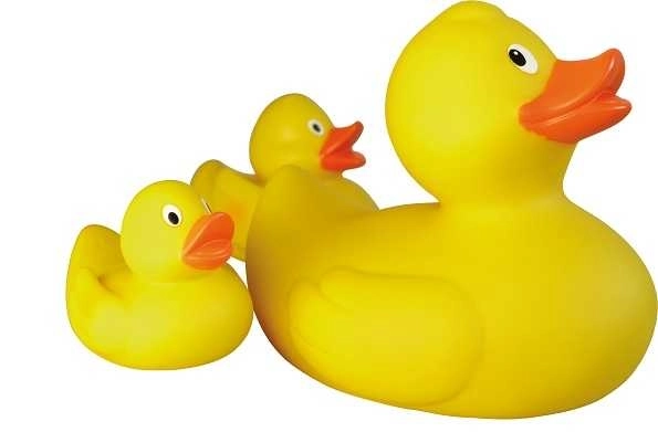 Famille de canards Lena
