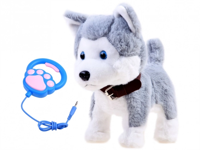 Chien Husky interactif en laisse