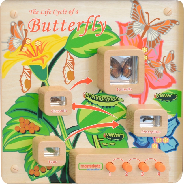 Tableau mural éducatif – cycle de vie du papillon MASTERKIDZ