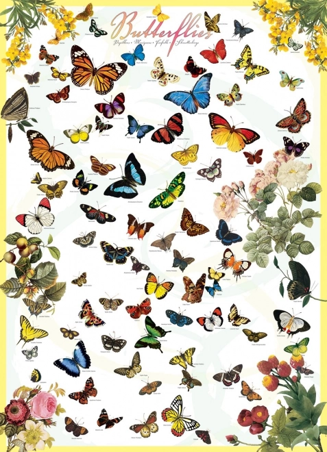 EUROGRAPHICS Puzzle Papillons 1000 pièces