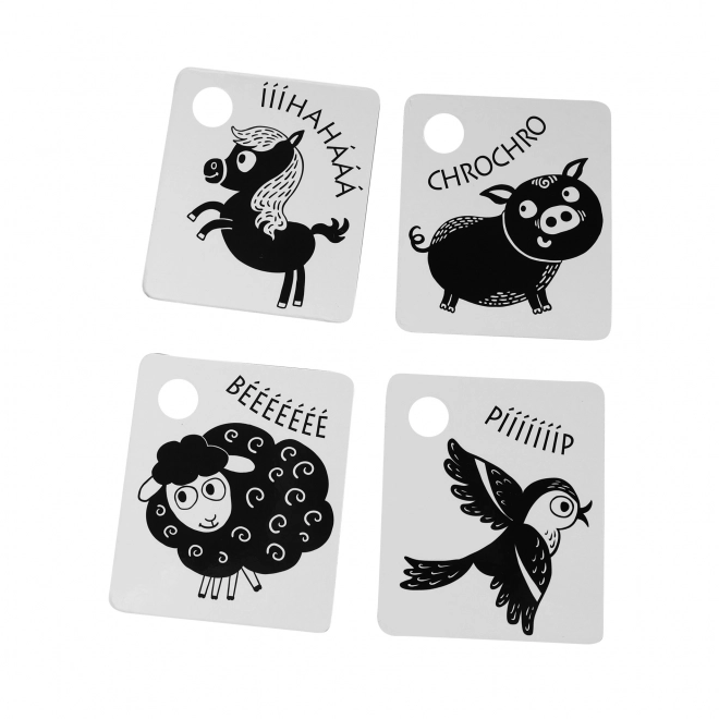 Cartes contrastées pour enfants noir et blanc